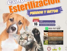 CAMPAÑA DE ESTERILIZACIÓN CANES Y GATOS