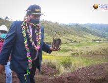 CAMPAÑA DE REFORESTACIÓN CON PLANTAS NATIVAS EN LA COMUNIDAD DE CCORAO