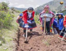 La Municipalidad Distrital de San Sebastián contribuye, organiza y ejecuta el plan de trabajo bajo el enfoque de sostenibilidad la SIEMBRA Y COSECHA DE AGUA CON LOS NIÑOS DE LA COMUNIDAD DE CCORAO.