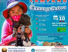 GRAN CAMPAÑA DE CANES Y GATOS