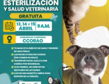 CAMPAÑA DE ESTERILIZACIÓN GRATUITA