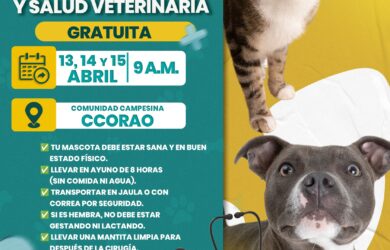 CAMPAÑA DE ESTERILIZACIÓN GRATUITA
