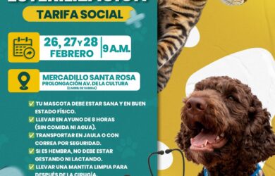 ¡CAMPAÑA DE ESTERILIZACIÓN EN SCOTTY VET!