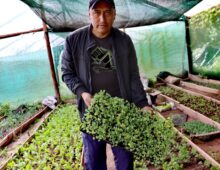 SAN SEBASTIÁN REVOLUCIONA LA ECONOMÍA CIRCULAR PRODUCIENDO HORTALIZAS RICAS EN HIERRO A CAMBIO DE RESIDUOS APROVECHABLES