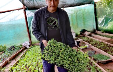 SAN SEBASTIÁN REVOLUCIONA LA ECONOMÍA CIRCULAR PRODUCIENDO HORTALIZAS RICAS EN HIERRO A CAMBIO DE RESIDUOS APROVECHABLES