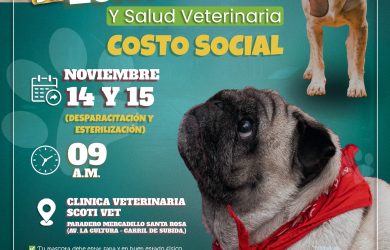 NUEVA CAMPAÑA DE ESTERILIZACIÓN