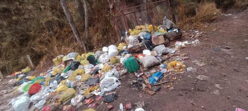 publicacion04 10 10 2025 (1)