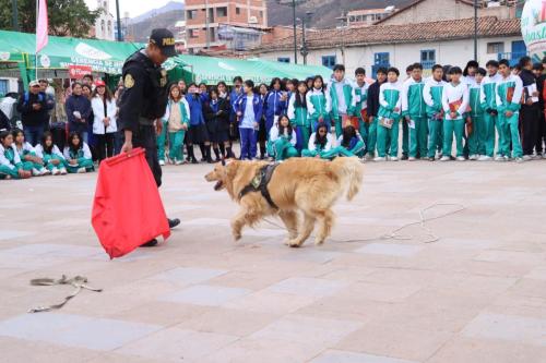 publicacion09 13 10 2025